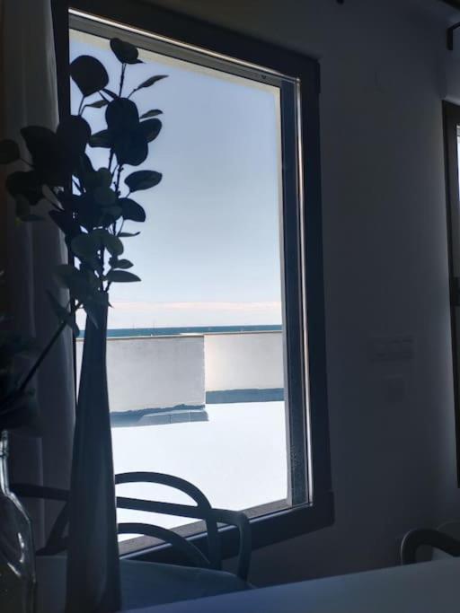 לה קאסס ד'אלקנאר Apartament Les Cases מראה חיצוני תמונה